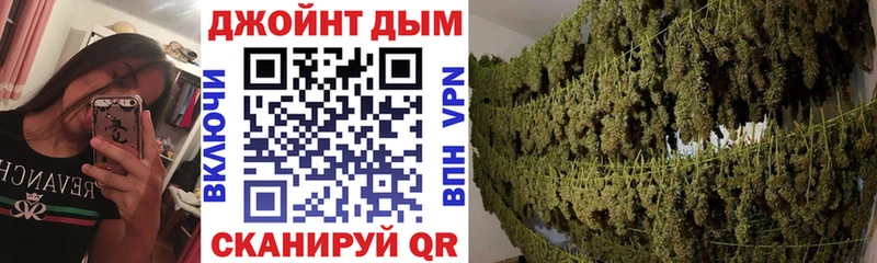 Канабис план  дарнет шоп  Кондопога 